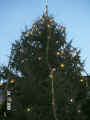 Van_strom_22 