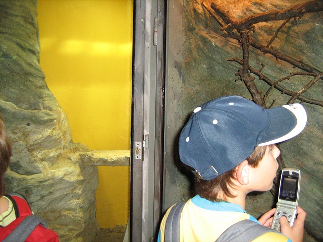 Výlet do  ZOO Brno