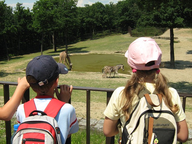 Výlet do  ZOO Brno